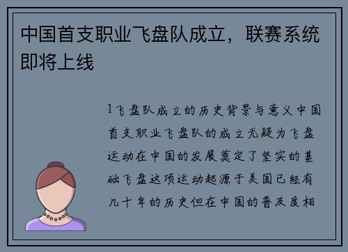 中国首支职业飞盘队成立，联赛系统即将上线